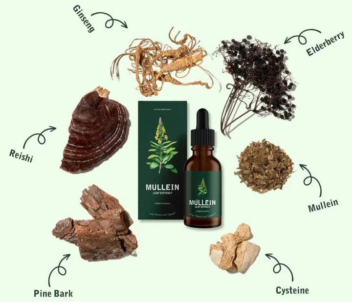 Mullein + Chlorophyll. (Detox Your Lungs)